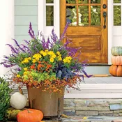 Fall Front Step Decorations