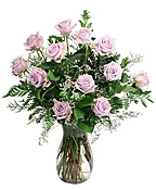 LILAC DOZEN