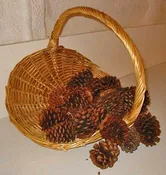 Bag of Twelve Cones
