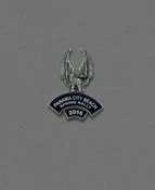 2016 Spring Thunder Beach Pin - Eagle