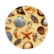 Andreas Decorative Shells Jar Opener