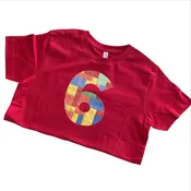 6th Lego Birthday Shirt