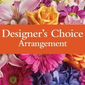 Designer's Choice