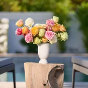 Blushing Garden