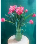 TULIP SPECTACULAR