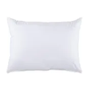 1 Hotels Pillow