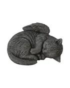 Angel Wing Cat
