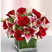 Modern Embrace Red & Pink