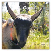 A Goat