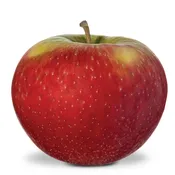 Honeycrisp