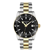 MODEL 3: SANDBURG Carbon 2 Tone Steel