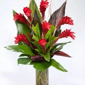 A Tropical Ginger