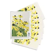 Black Eyed Susan's Greeting Card