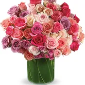 KF_TRS03-1A  Rose Rapture
