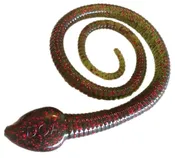 12" Sna-Koil