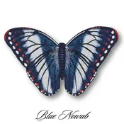 Blue Nowab Butterfly