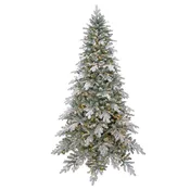 7.5′ Snowtip Aspen
