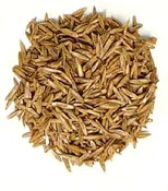 Barenbrug Grass Seed Rye Annual 50 lb. Bag
