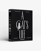 A Cat's Life Photo Album | Highlow Studio