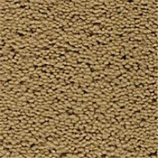 Fabrica Doubloon Plush Saxony Carpet