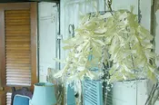 Vintage Lighting Chandeliers (rental) $20ea — The Venue