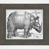 Albrecht Dürer's Rhinoceros