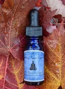 5th Chakra Essence Blend