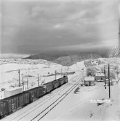 AT&SF EMD F7A 255 With A Livestock Freight at Cajon Station – 1952