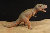 24 Tyrannosaurus ( T Rex)  Dinosaurs