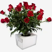 Jetwrap Extra Large Rosevase Box  #611XL