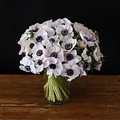 white blush anemones with black center — MICHAEL GEORGE