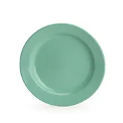 1973 Dinner Plate - Mint