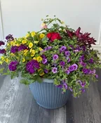 LARGE PATIO PLANTER