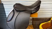 Pegasus Vision #1031