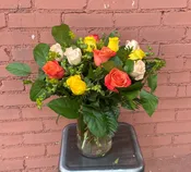 2 Hoots & a Holler Rose Dozen
