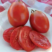 Amish Paste Red Tomato  (Certified Organic)
