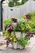 3 Tier GreenStalk Garden Original Vertical Planter - Basic Texture