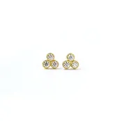 Canadian Diamond Cluster Earrings
