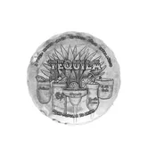 Anatomy of Tequila Drink Coaster