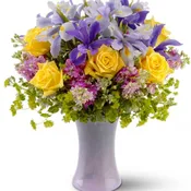 Lavender Sunshine