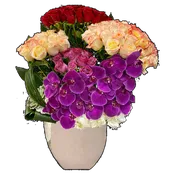 AF0 700-1 Luxury Orchids & Roses – Same Day Delivery Miami