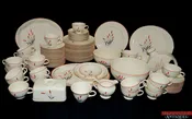 100 Piece Universal Cambridged Camwood Ivory Red Cattail China Set Oven Proof