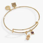ACOTAR Wings and Ruin Dagger Charm Bangle