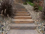 Borgert Steps