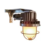 Vintage Industrial Explosion-Proof Wall Sconce With Frosted Glass - Vintage Industrial by Get Back, Inc