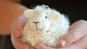 Bear Creek Felting Kits