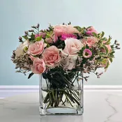 Blush