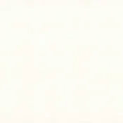 1111 Vivid White