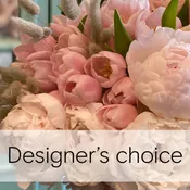 Designer's Choice - $1500 to $2000