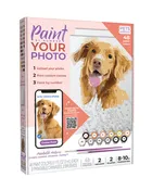 Paint your Photo by Number | Pets Edition
